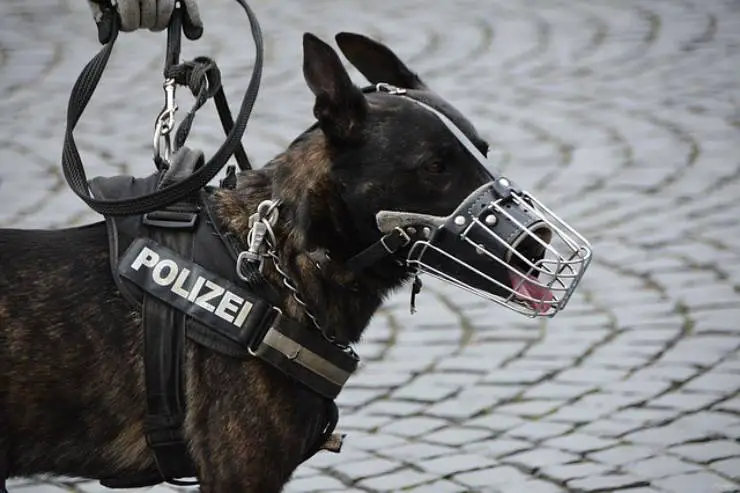 policía
