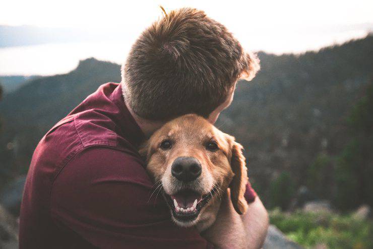 Llevar a un cachorro a un hogar de crianza