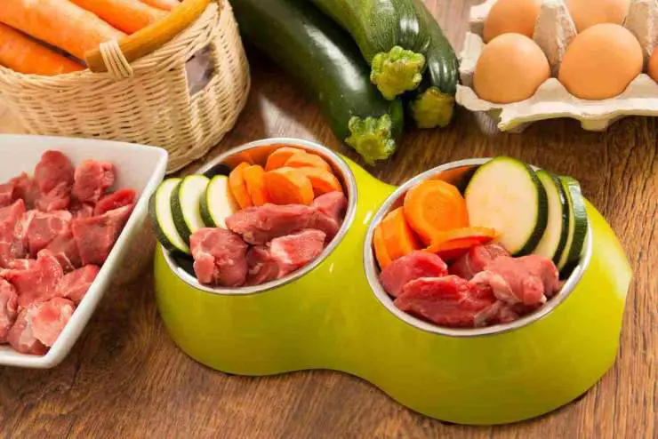 comida vegetariana vegana