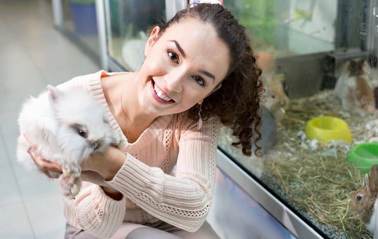 ¿Cuánto cuesta mantener una chinchilla?