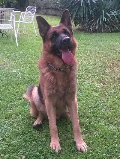 905579_10207441805384863_4775809324999535467_o