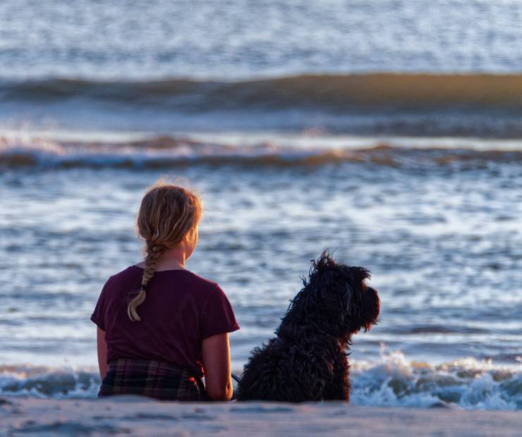 Contra los derechos de los animales
