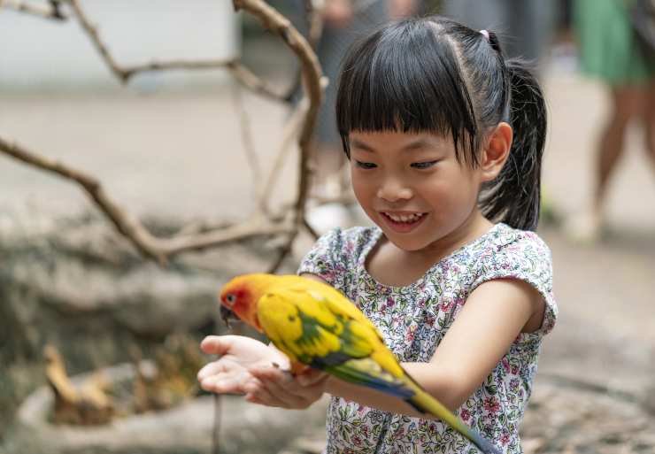 niña y pájaro