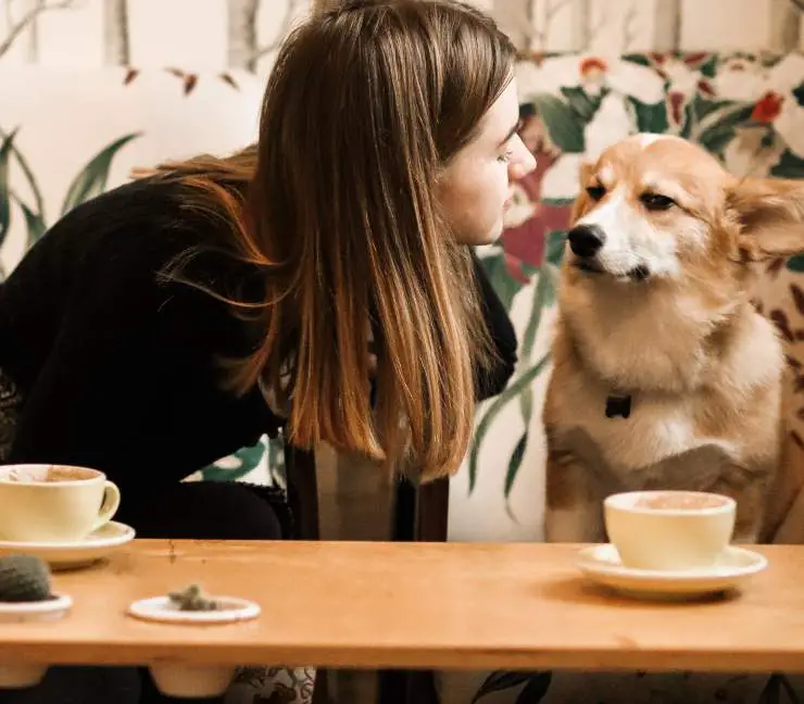 Pet-café