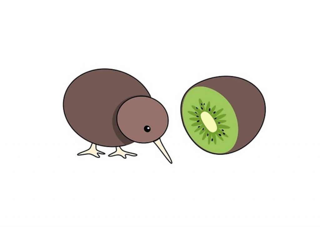 Quieres esos Kiwi? Todo lo que necesitas saber sobre el pájaro (no la  fruta) - Vida con Mascotas ▷➡️