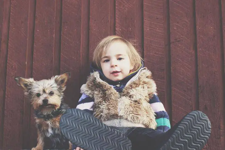 Fido y bebe Fido y bebe