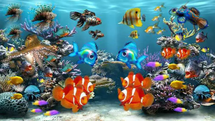 acuario