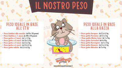 infografías de peso de gato
