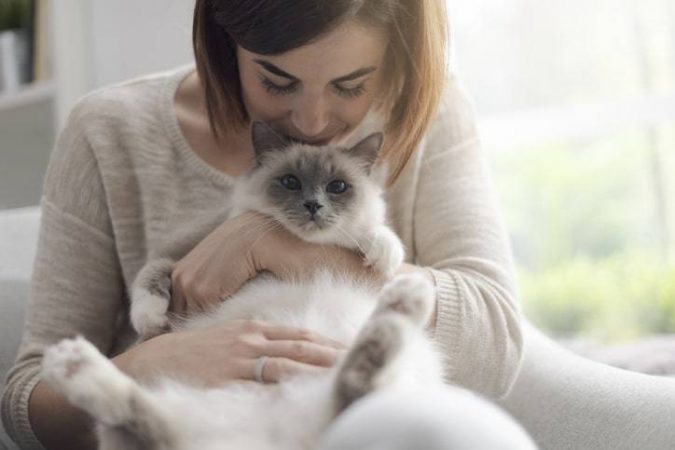 Cuando Empieza Un Gato A Ser Cariñoso