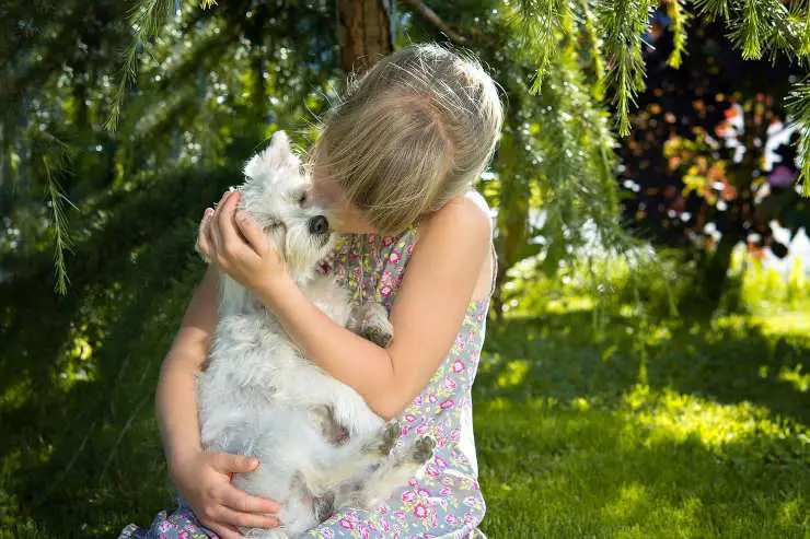Niño abraza al perro