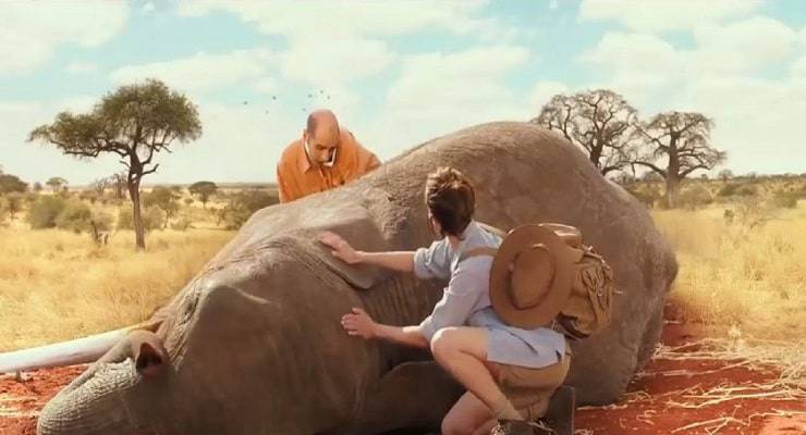 Los animales de las películas de Checco Zalone: ​​el elefante de Quo Vado