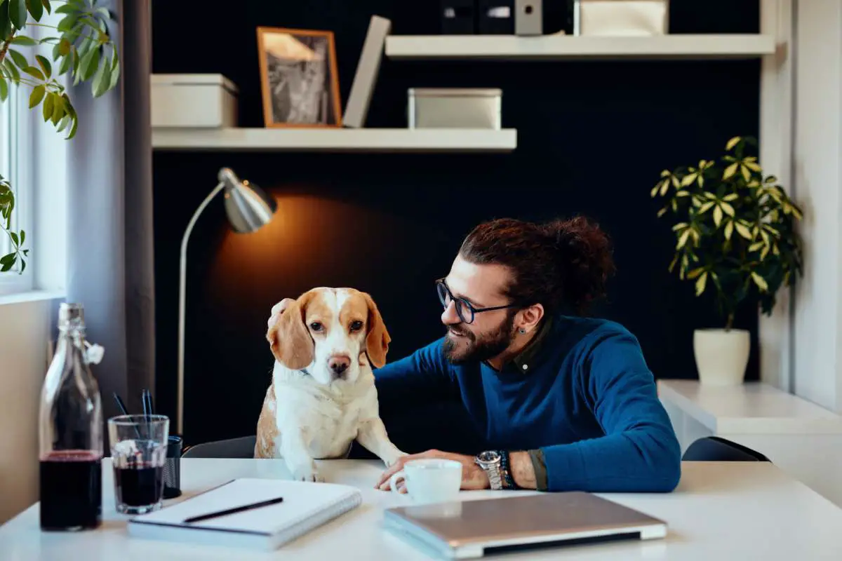 El dueño y el perro en la oficina (Foto Adobestock)