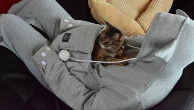 Sudadera gato