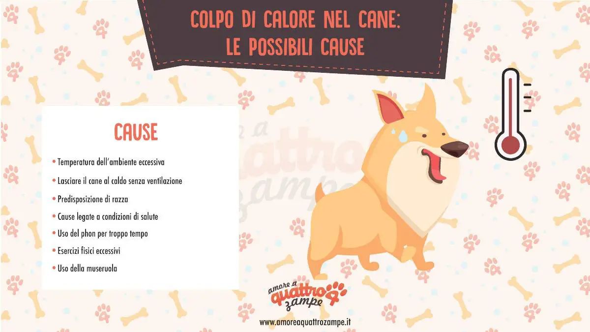 infografía de golpe de calor de perro