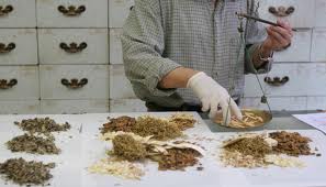 oso de sol cistifellea