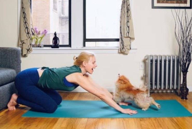 Yoga con el perro