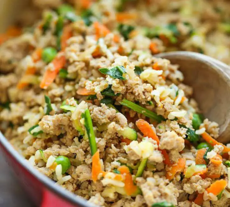 receta de comida para perros