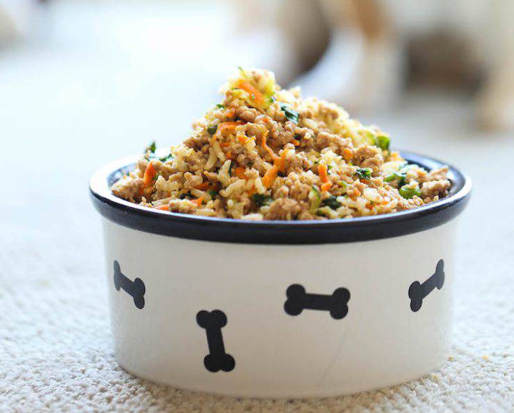 receta de comida para perros