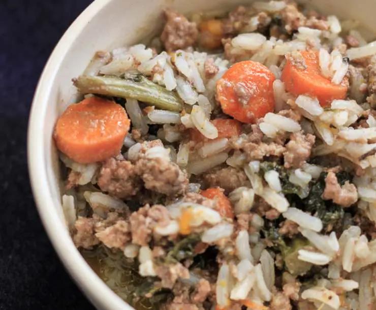 receta de comida para perros