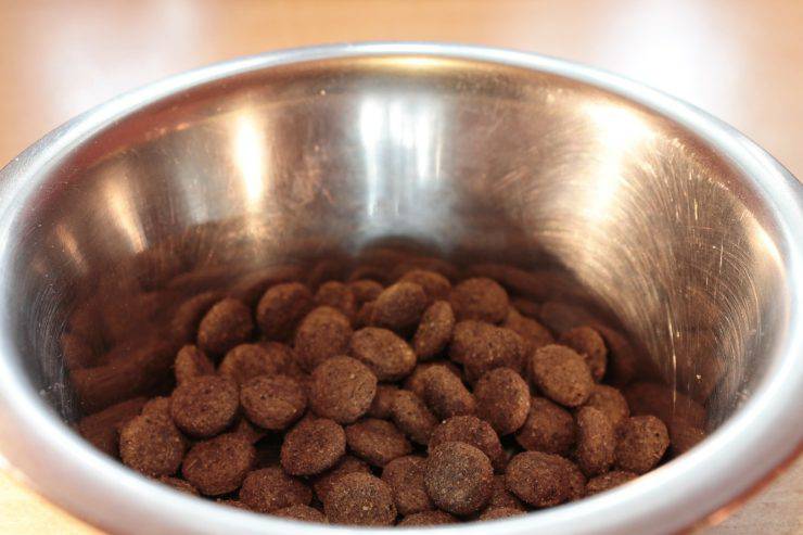 comida para perros