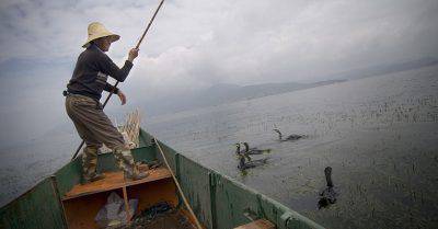 pesca-con-cormoranes-olycom-835