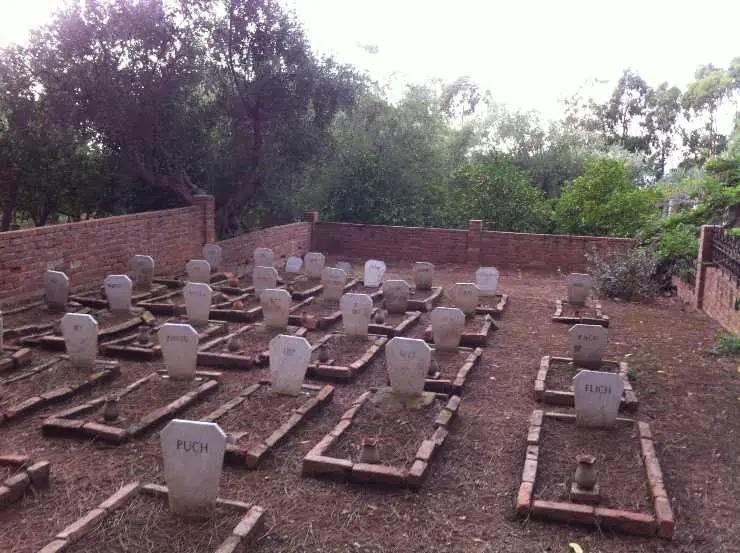 cementerio de perros