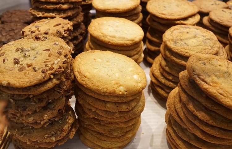 beneficios de la avena para perros