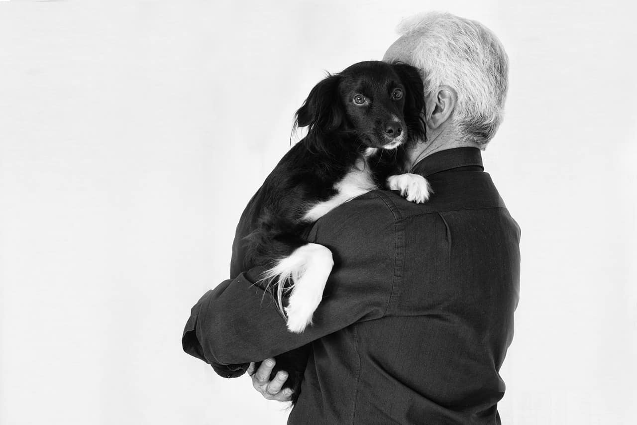 El amor entre el perro y su dueño en una foto (Foto Pixabay)
