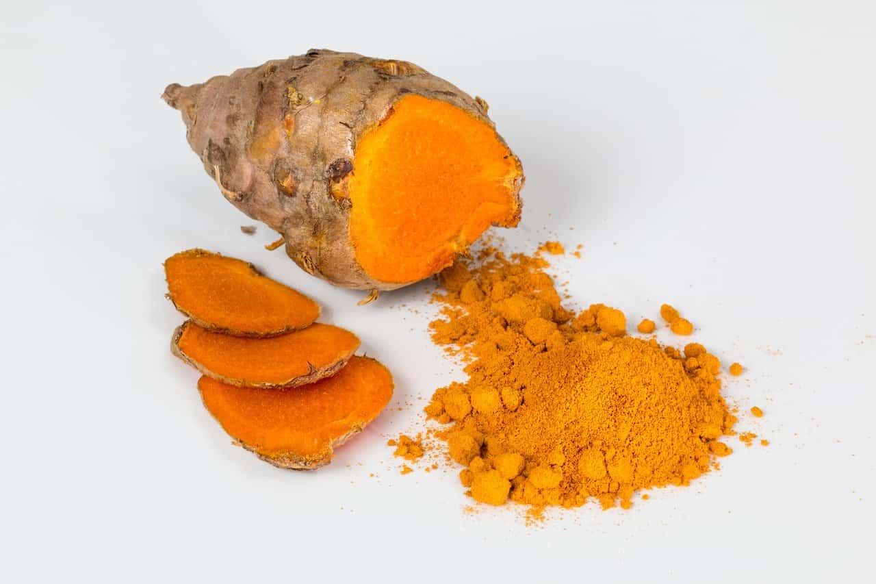 turmeric can dogs eat