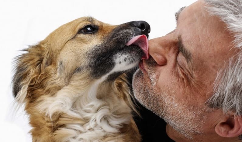 Búsquedas de similitud maestro-perro