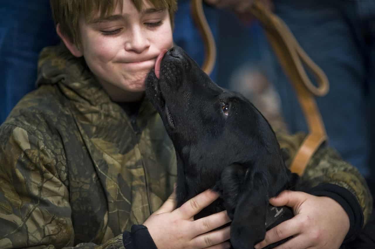 perro puede besar