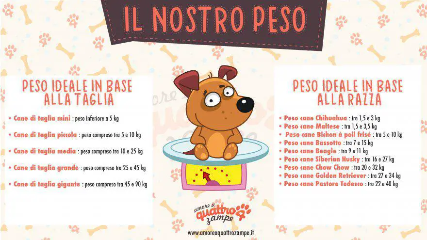 infografía del peso ideal del perro