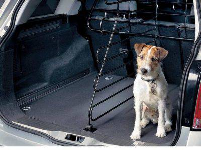 Perro en el coche