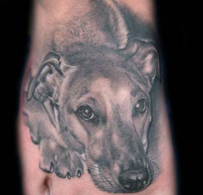 tatuaje cane1
