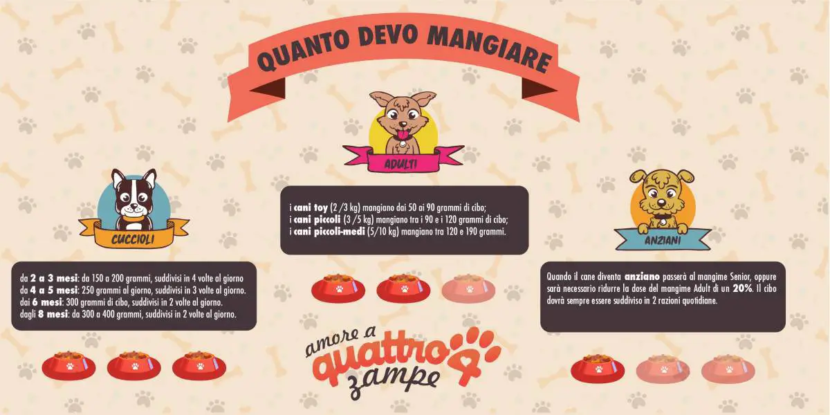 infografías de cantidad de perros