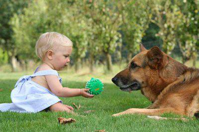 perro asustado niños