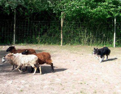 14560176_10207377494580492_2765549385611480417_o