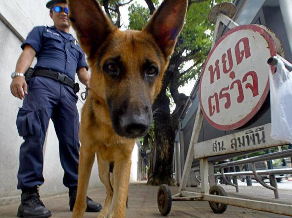 Un policía tailandés con un perro rastreador chec