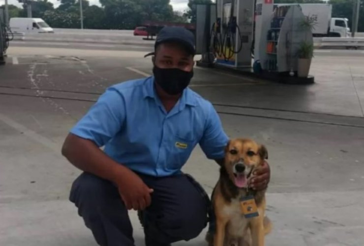 asistente de gasolinera perro callejero