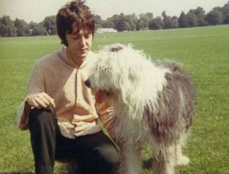 Canciones dedicadas a las mascotas