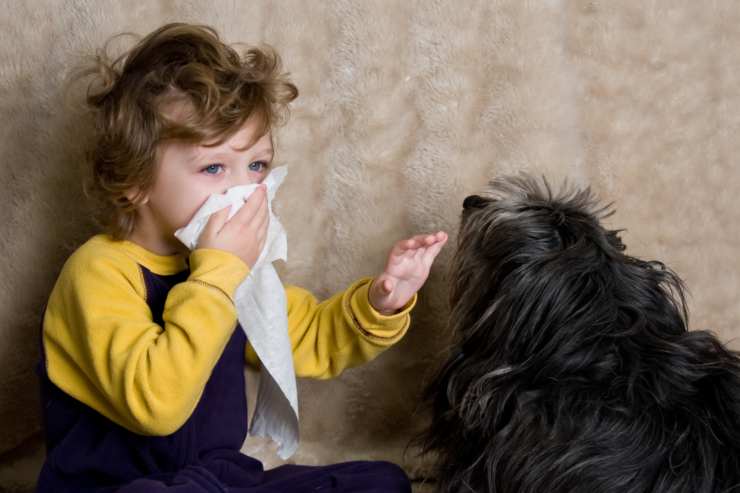 alergia a los perros machos