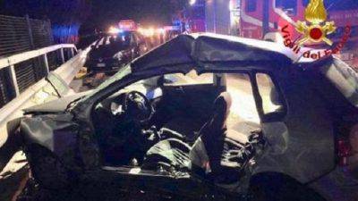 accidentes de animales salvajes