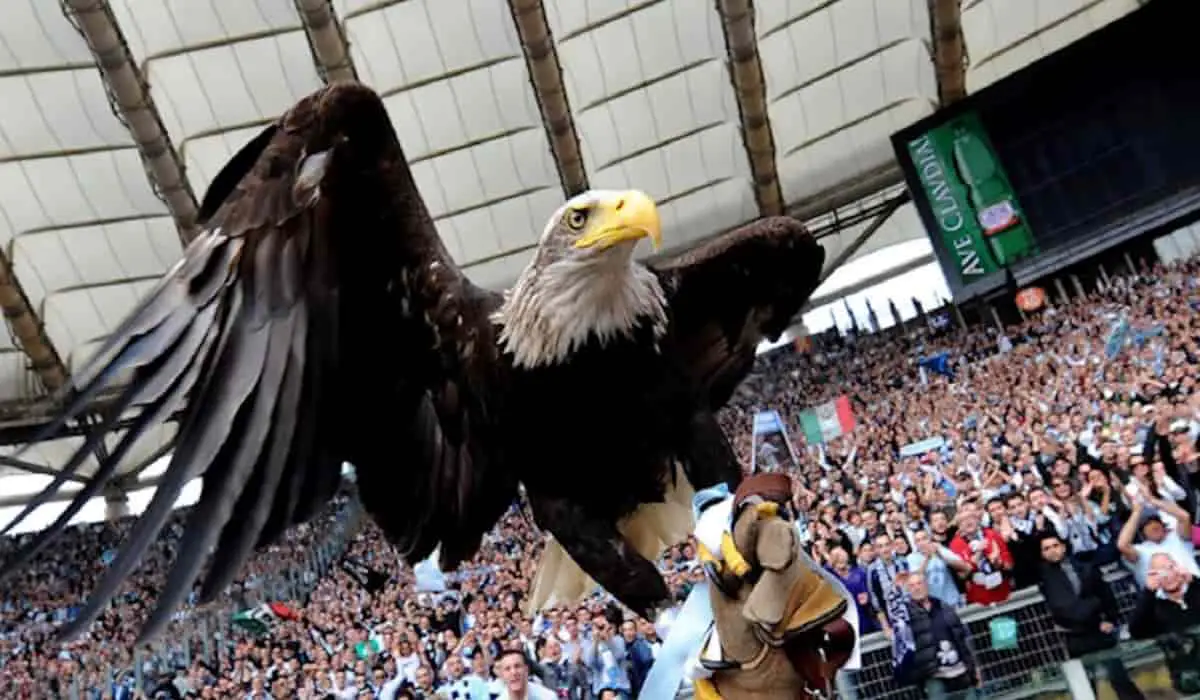 Animales y equipos de fútbol