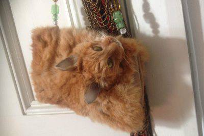 Un bolso de un gato muerto real y simplemente no podemos acreditarlo: trademe.co.nz http://www.trademe.co.nz/clothing-fashion/women/bags-handbags/handbags/auction-1160421420.htm