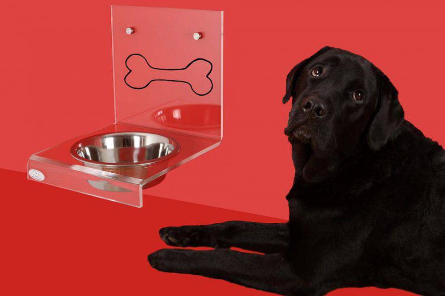 cuanto debe comer un perro