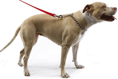 cuello de estrangulamiento