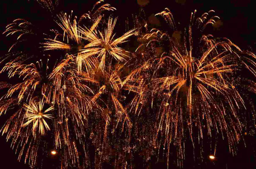 perro asustado fuegos artificiales barriles