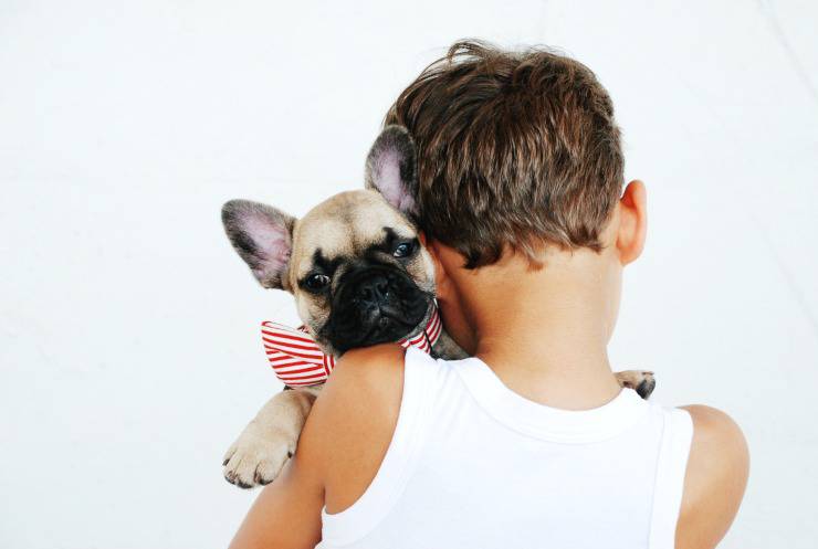 Cómo conseguir un perro para los padres: guíalo sin falta