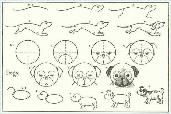 Cómo dibujar un perro fácilmente: un perro lindo y realista - Vida con  Mascotas ▷➡️