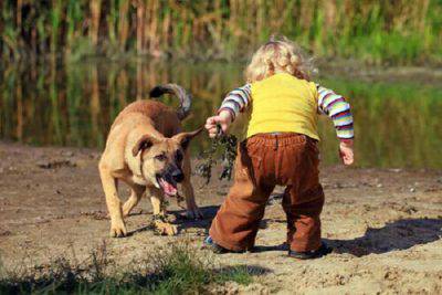 perro asustado niños
